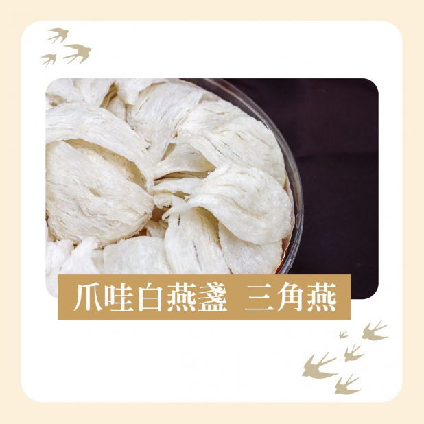 爪哇白燕盞 三角燕