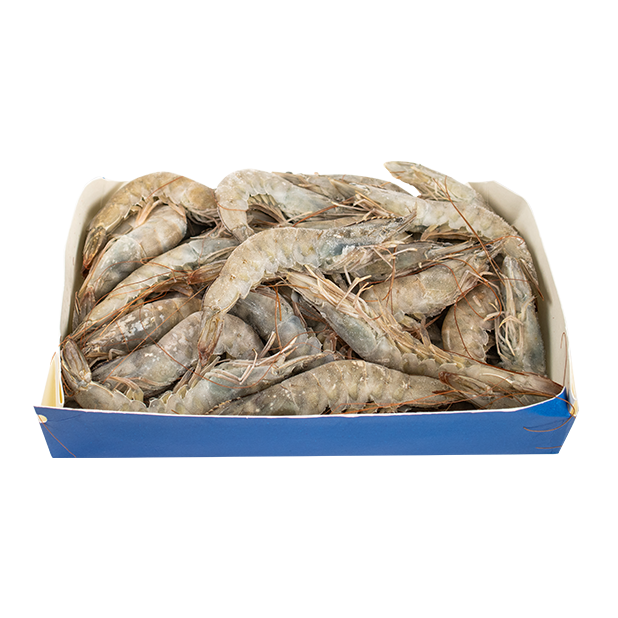 冷凍生白蝦 30-40隻(1kg)