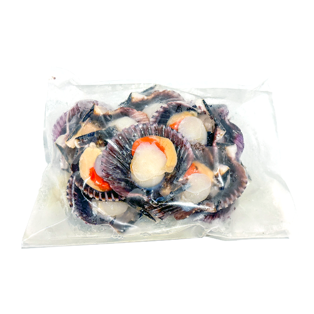 冷凍鮮食半殼紫扇貝(帶殼扇貝)(500g/盒)