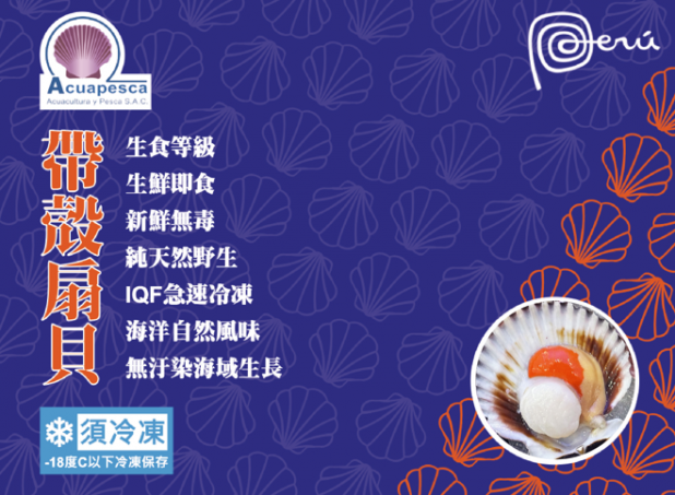 冷凍鮮食半殼紫扇貝(帶殼扇貝)(500g/盒)