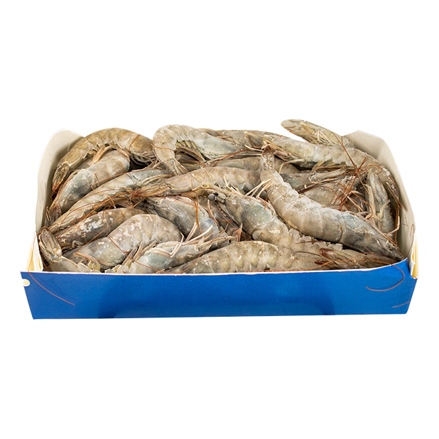 冷凍生白蝦 20-30隻(1kg)
