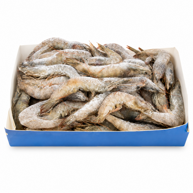 冷凍生白蝦 20-30隻(1kg)