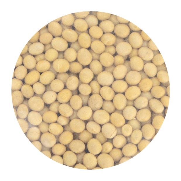 黃豆(1kg/包)