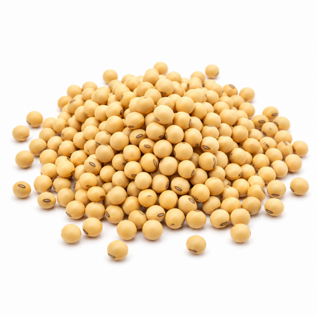 非基改黃豆（1Kg／包）