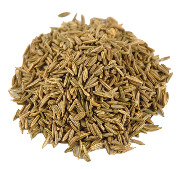 葛縷子(凱莉茴香子)<預購商品無現貨，需預訂5個工作天>