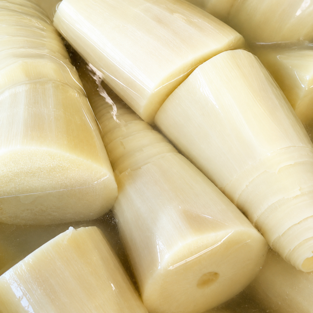 桶筍-大 (19kg/桶)
