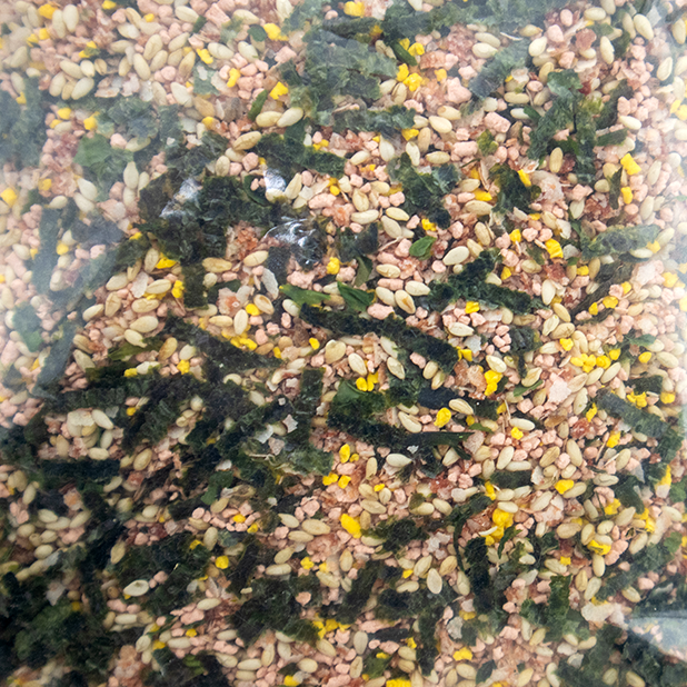 味島香鬆-海蝦(500g)