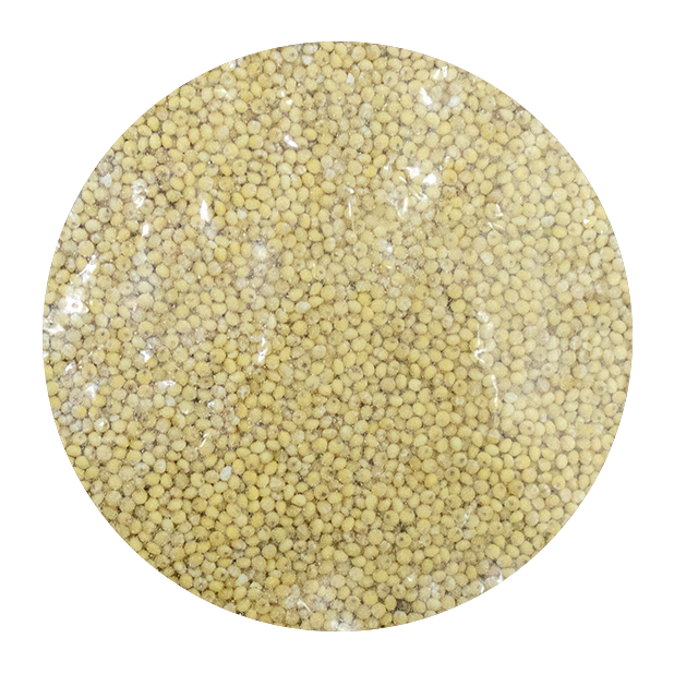 小米(1kg/包)