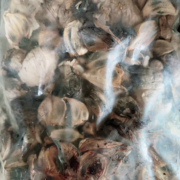 黑蒜頭粒(1KG)