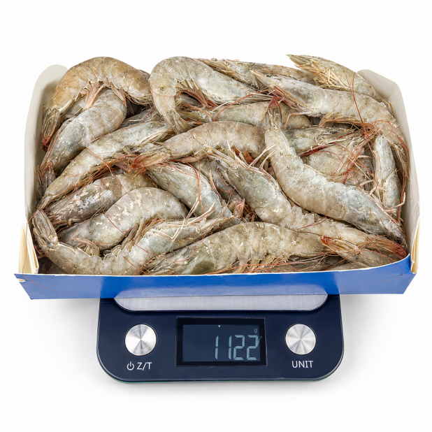 冷凍生白蝦 30-40隻(1kg)